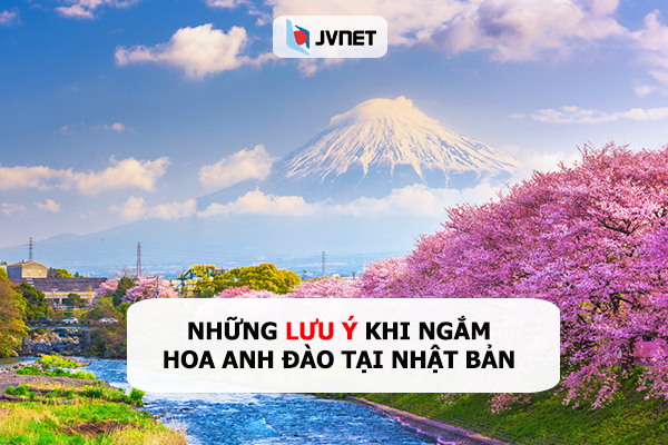 lưu ý khi ngắm hoa anh đào tại nhật